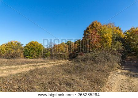 Amazing Autumn Landscape Of Cherna Gora (monte Negro) Mountain, Pernik Region, Bulgaria
