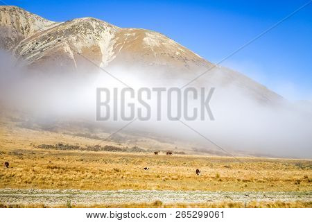 Mountain Fields Landscape In New Zealand Alps