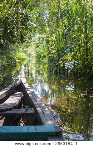 Traditional Boat Of Kerala Backwaters Floats Through The Jungle. Backwaters In Kerala Is A Network O