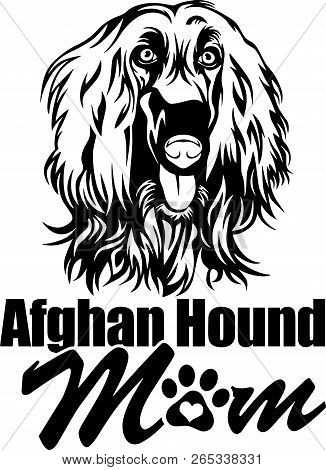 Animal Dog Afghan Hound 5Tt66Y7 Mom.eps