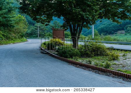 Large Tree With Lush Green Leaves And Park Benches At Rest Stop On Two Land Country Road.