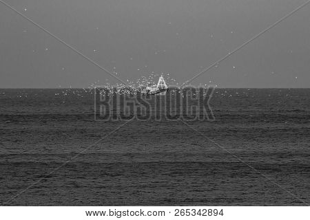 Houcima Beach And Waves And Rocks