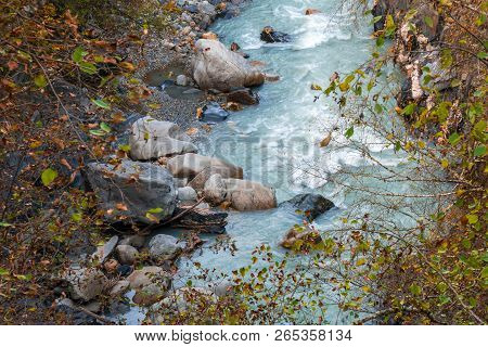 Wild River Stream Among Cliffs And Rocks, Enguri, Autumn Time In Mestia, Svaneti, Georgia