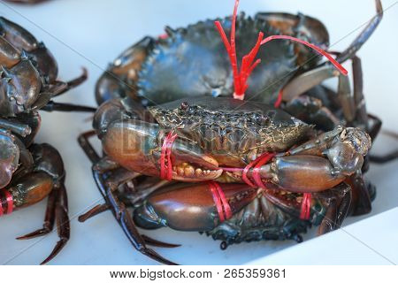 Group Of Captured Living Freshwater Crab, Banded Shell Animal In Ocean Fresh Market Seafood Restaura