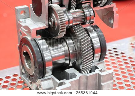 Cross Section Of Worm Gear Pump ; Selective Focus