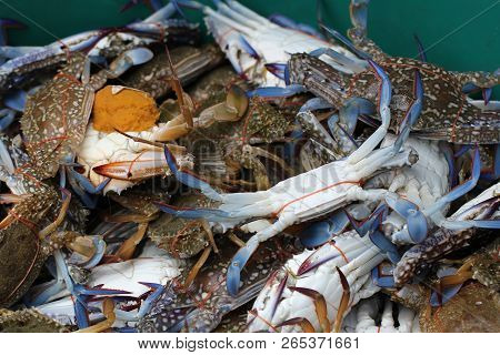 Group Of Captured Living Freshwater Crab, Banded Shell Animal In Ocean Fresh Market Seafood Restaura