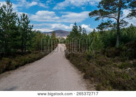 Breathtaking Rural Mountain Landscape With Countryside Could Be Used For Inspirational Loch Morlich,