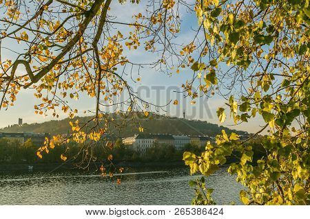 View Of Colorful Autumn Landscape, Branches, Yellow Linden Leaves, Red Brick Fence, River Moldau, Hi