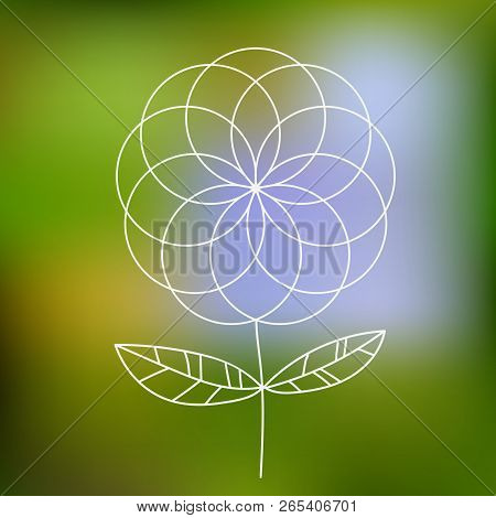 White Thin Line Flower On Green Background. Vector Illustration.