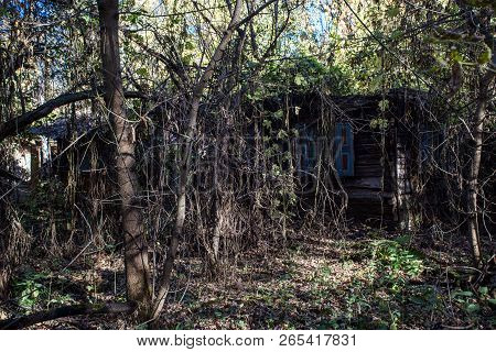 Abandoned House In Chornobyl Zone
