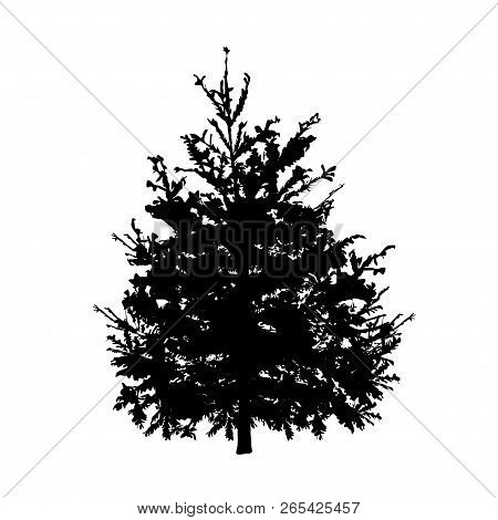 Fir-tree With Green Needles, The Color Vector Image On A White Background