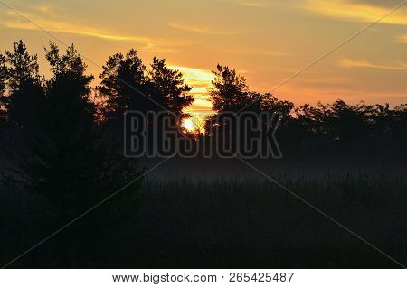 Dawn In The Steppe Among The Trees