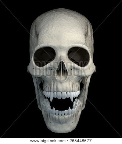 Halloween Scarry Vampire Skull Isolated On A Black Background - Front View. 3d Render.