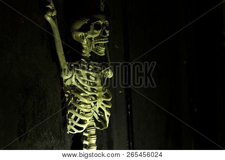Skeleton hanging in the darkness ready to scare people. Intentional motion blur to convey movement a