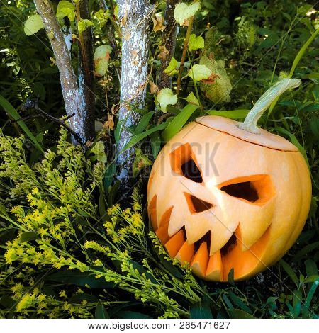 Halloween Feast Of All Saints Is Celebrated On October 31 Pumpkin Yellow Color Cut Glows