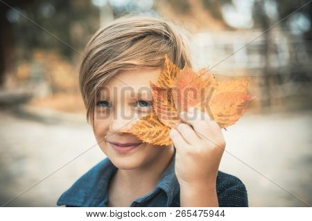 Kid On An Autumn Holiday In The Farm. Bye Summer - Hi Autumn. Fair-haired Kid Playing With Leaves An