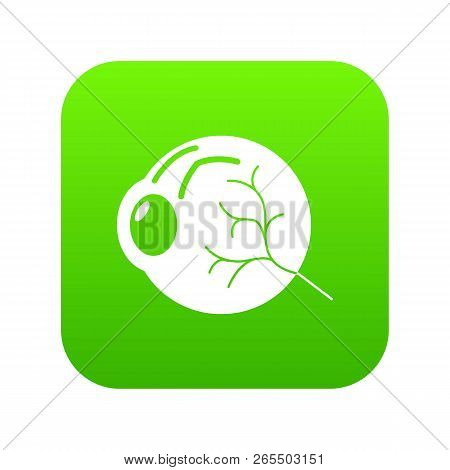 Human Eye Icon Green Isolated On White Background