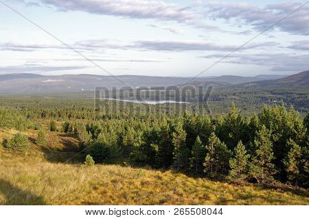 Loch Morlich & Glen More 
Rothiemurchus Forest, Cairngorms, Scotland