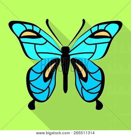 Sky Blue Butterfly Icon. Flat Illustration Of Sky Blue Butterfly Icon For Web Design
