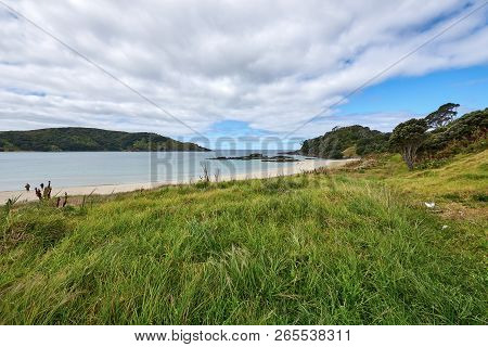 Panoramic View Of Matai Bay In Karikari Peninsula In New Zealand Under A Blue Sky