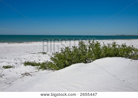 Sanddune