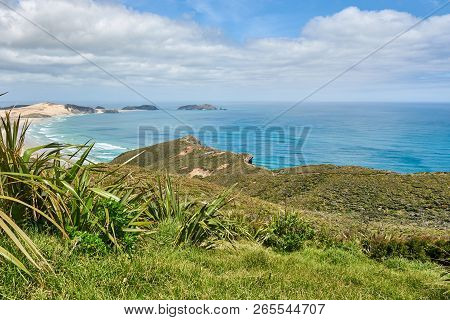 Scenic Views Of Beautiful Landscape At Cape Reinga In New Zealand