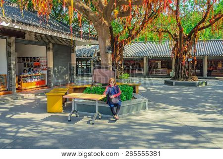 Senior Asian women traveler sit under the worship Tree in Xiqiao mountain Foshan city china