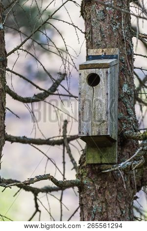 Bird House In A Nature Reserve