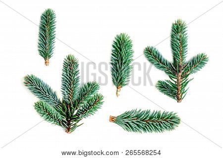 Set Of Fir Branches Isolated On White Background. Pine Branch, Confier Tree.  Christmas And New Year