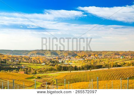 Croatia, Daruvar, Colorful Countryside Autumn Landscape And Beautiful Vineyards