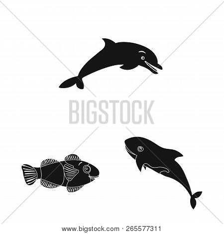 Vector Illustration Of Sea And Animal Icon. Collection Of Sea And Marine Vector Icon For Stock.
