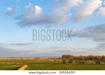 Blue Sky, Green Meadows, Occasionally Overgrown With Reeds And Undersized Trees As A Background Or B