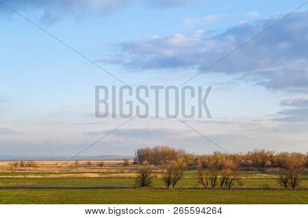 Blue Sky, Green Meadows, Occasionally Overgrown With Reeds And Undersized Trees As A Background Or B