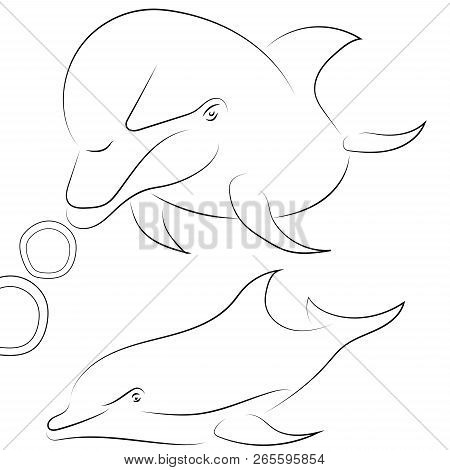 Black Line Dolphin On White Background. Hand Drawn Vector Dolphi