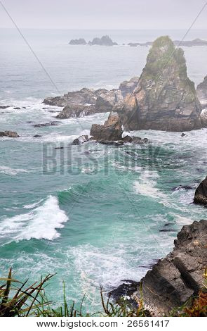 KÃ¼ste in der NÃ¤he von Cape Foulwind im Nebel