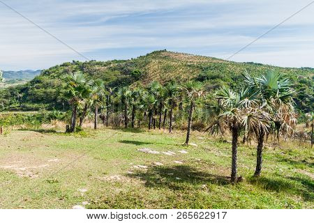 Landscape Of Valle De Los Ingenios Valley Near Trinidad, Cuba