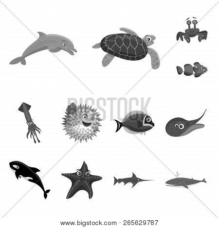 Vector Design Of Sea And Animal Icon. Collection Of Sea And Marine Stock Symbol For Web.