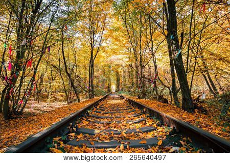love tunnel in autumn