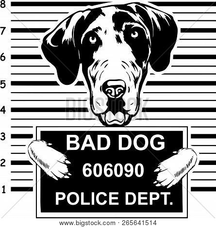 Animal Dog Great Dane 6Tg Head.eps