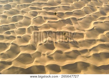 Aerial View Of A Desert Surface Near Dubai