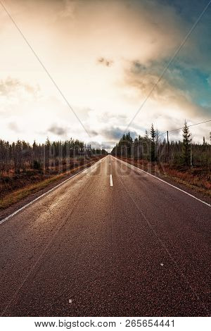 A Lonely Road Leads Through The Forest To The Horizon Under The Dramatic Autumn Skies At The Rural F