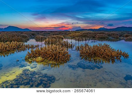 scenery sunrise above the coral reef. coral reef emerges from the water at a reduced water level.du