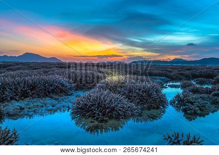 Scenery Sunrise Above The Coral Reef. Coral Reef Emerges From The Water At A Reduced Water Level.
Du