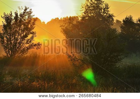 Dense Morning Fog In The Middle Of Steppe And Trees, Sunshine, Red Sky, Dawn, Nobody