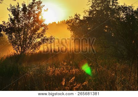 The Sun Is Flooded With Meadow In The Woods, Dawn, Red Sky, Thick Fog