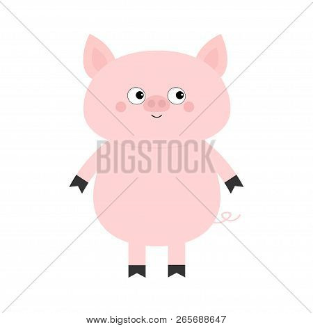 Pig. Hog Swine Sow Animal. Cute Cartoon Funny Baby Character. Chinise Symbol Of 2019 New Year. Zodia