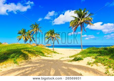 Den smukke tropiske strand Varadero i Cuba