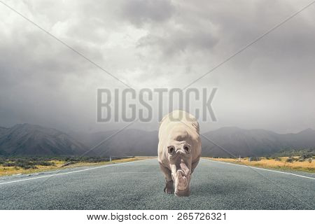 Rhino on asphalt road . Mixed media