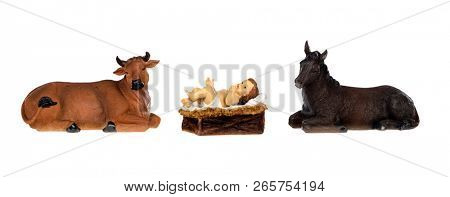 The Baby Jesus in the manger with the ox and the mule, isolated on white background