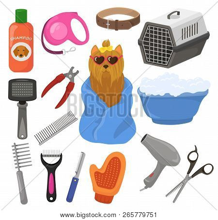 Grooming Vector Pet Vector Photo Free Trial Bigstock